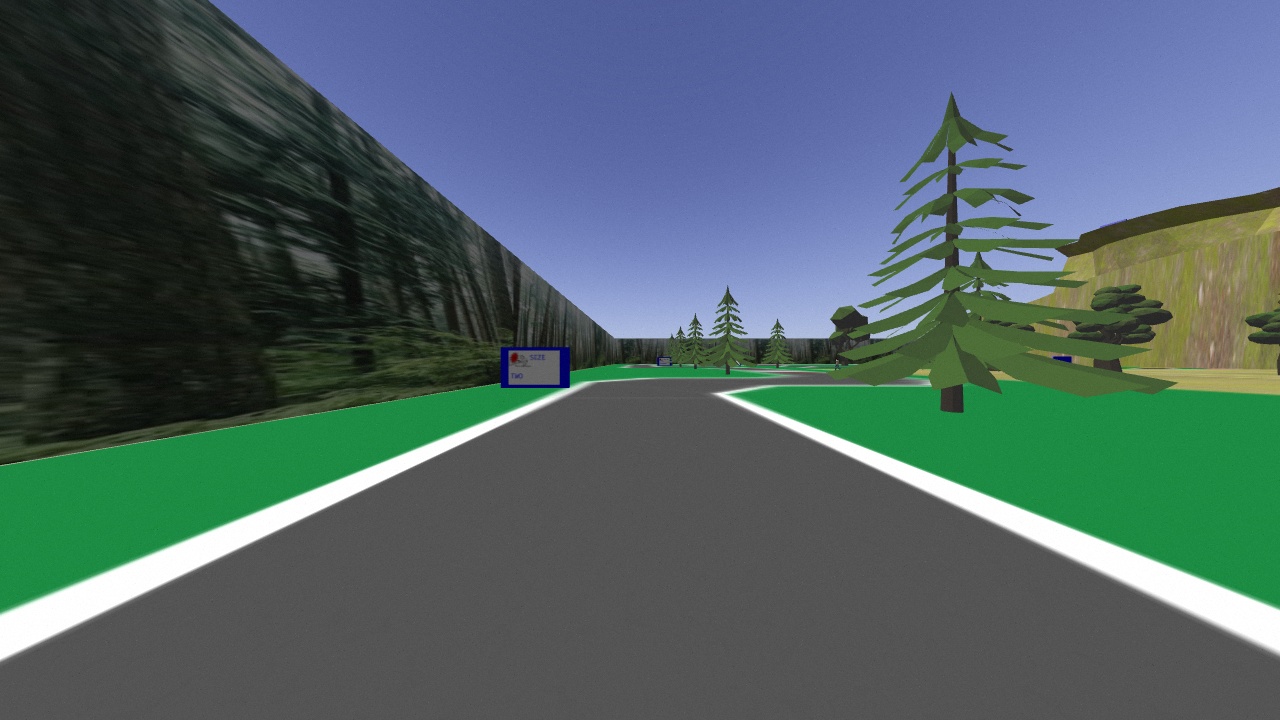 Example Image of vision of car during travel